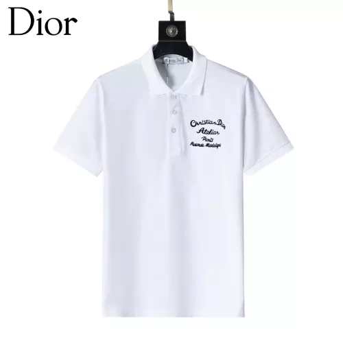 Cheap Christian Dior T-Shirts Short Sleeved For Men #1293619, $$29.00 USD On Christian Dior T-Shirts