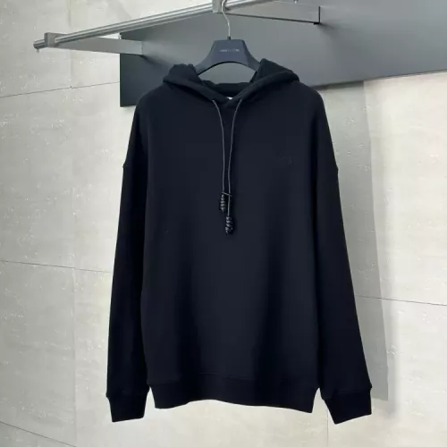 Cheap LOEWE Hoodies Long Sleeved For Unisex #1350224, $$85.00 USD On LOEWE Hoodies