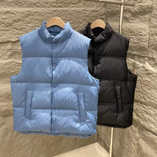 Cheap Christian Dior Down Feather Coat Sleeveless For Unisex #1380240, $$170.00 USD On Christian Dior Down Feather Coat