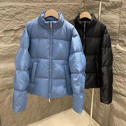 Cheap Christian Dior Down Feather Coat Long Sleeved For Unisex #1380246, $$215.00 USD On Christian Dior Down Feather Coat