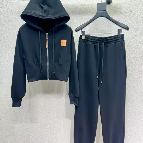 Cheap LOEWE Tracksuits Long Sleeved For Women #1380318, $$96.00 USD On LOEWE Tracksuits