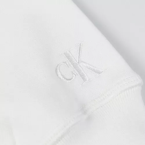 Replica Calvin Klein CK Hoodies Long Sleeved For Unisex #1387018 $48.00 USD for Wholesale